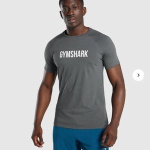men’s gymshark charcoal apollo t-shirt
